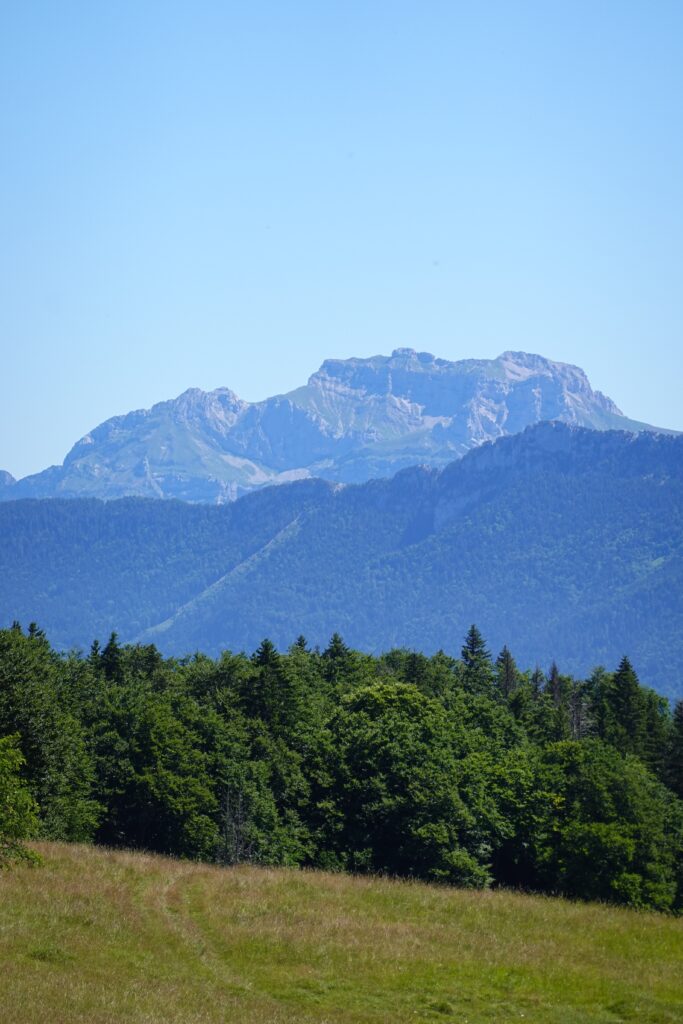 Stunning landscape wallpaper with green forest grassy meadow majestic mountains clear blue sky