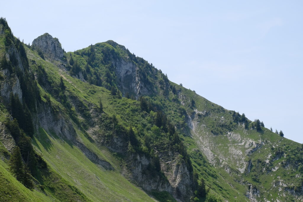 Mountain landscape wallpaper with steep green slopes and clusters of trees in natural light