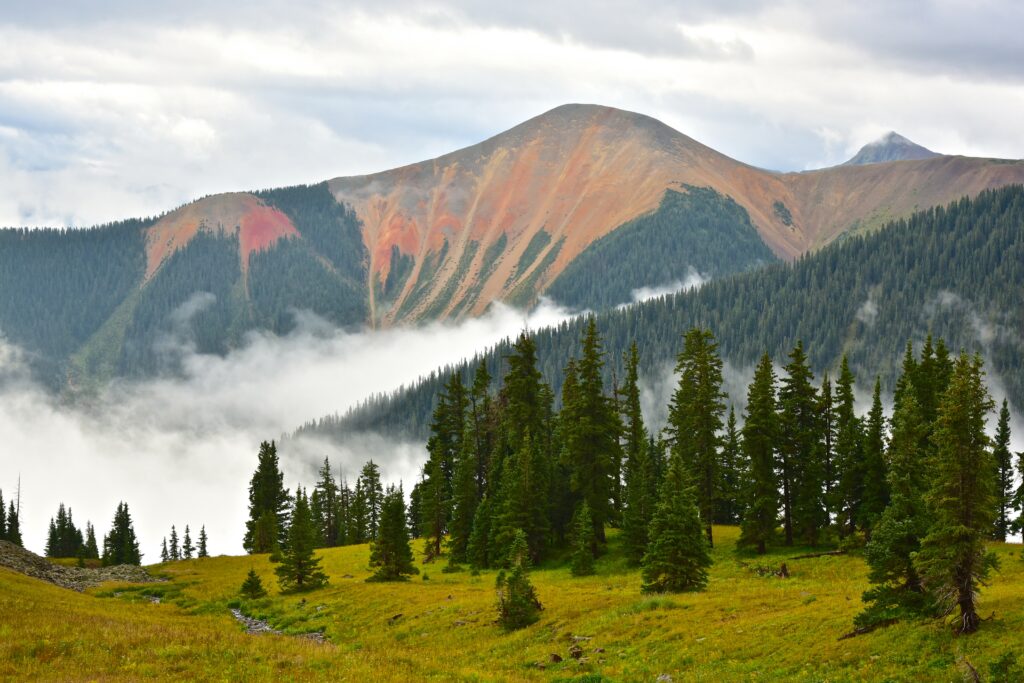 Serene mountain landscape with lush spruce forests rolling green meadows and misty fog wallpaper