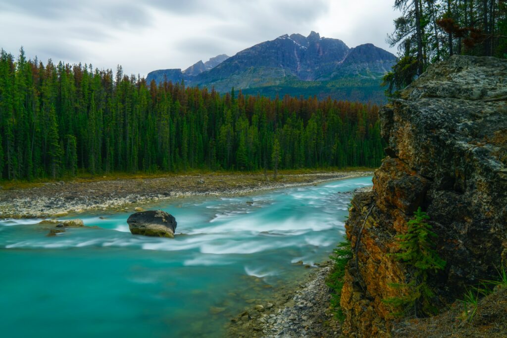 Turquoise river flows through dense pine forest with towering mountains and rugged rocks background Wallpaper