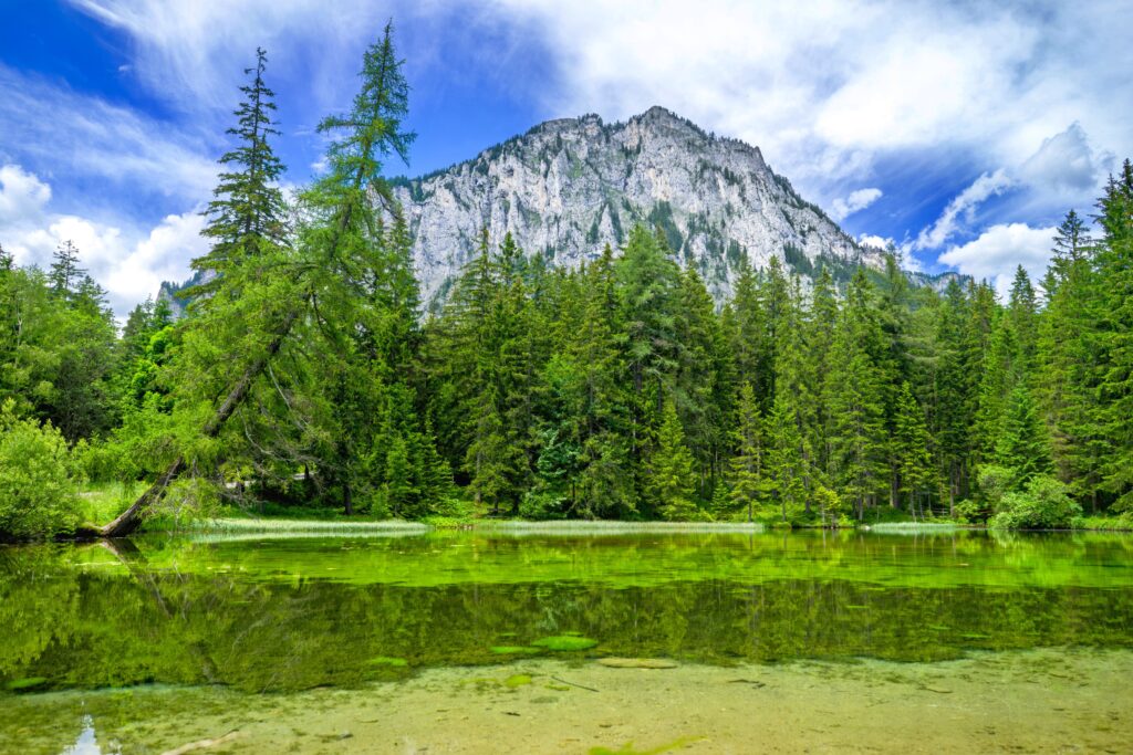 Breathtaking mountain landscape with lush green trees reflecting on tranquil pond under blue sky Wallpaper