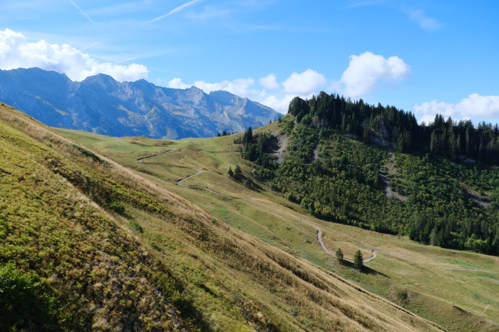 Rolling green hills with trails and trees under blue sky and mountains vibrant natural landscape wallpaper