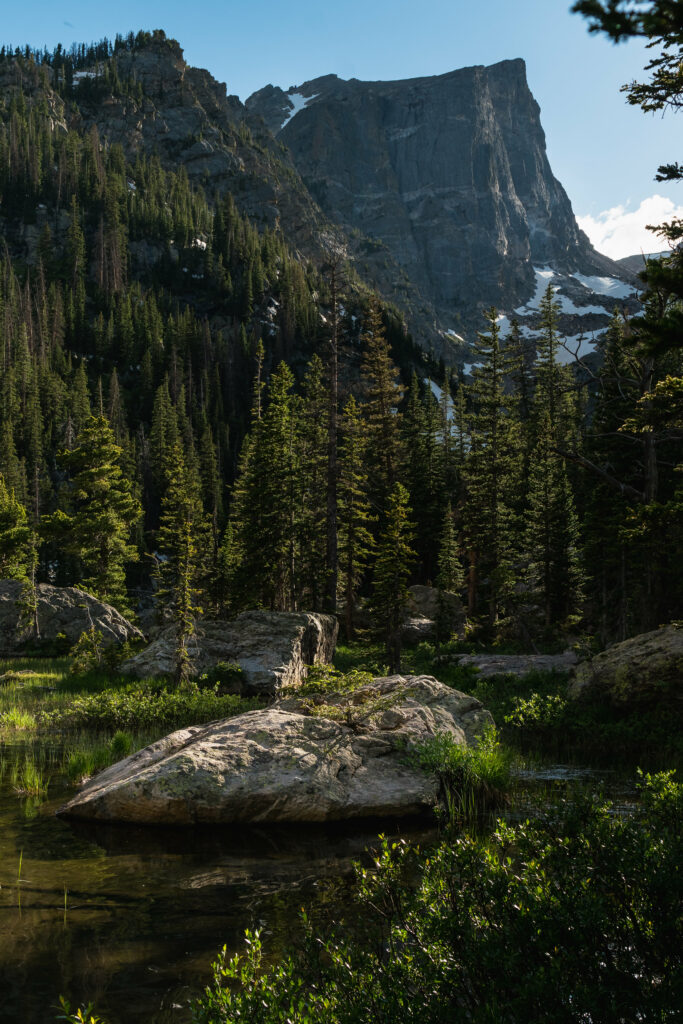 Serene mountain landscape with rugged cliff pine trees calm water and lush green bushes wallpaper