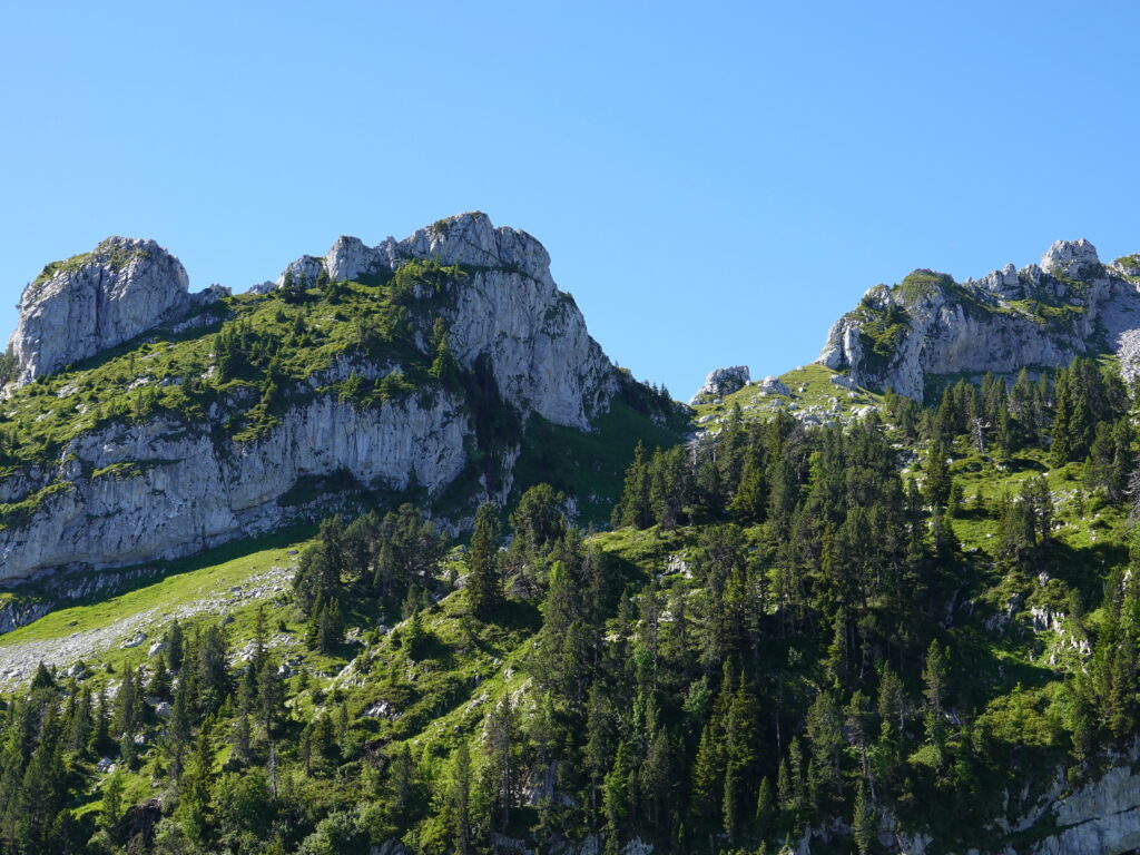 Mountain landscape wallpaper with rocky cliffs lush green trees and clear blue sky background