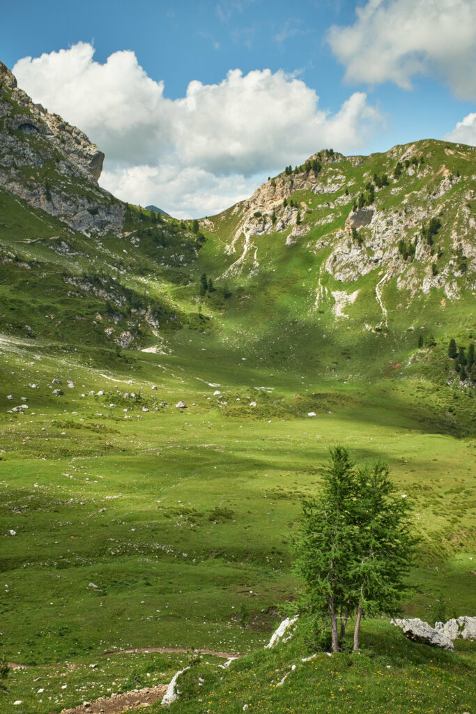 Tranquil mountain landscape with rugged peaks lush valley spruce trees and bright blue sky wallpaper