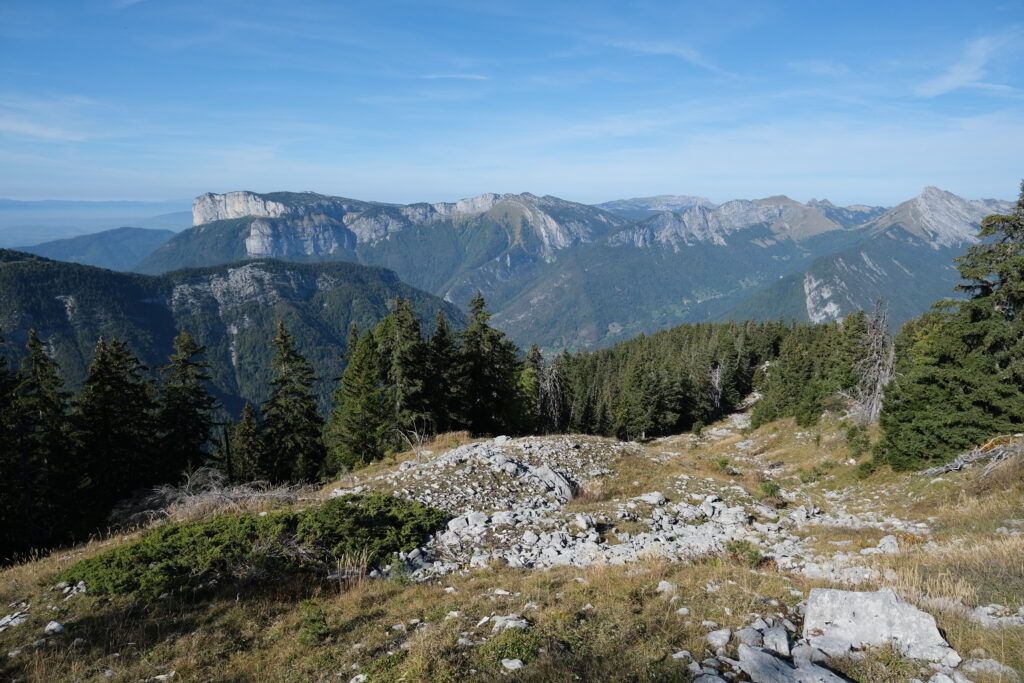 Mountain landscape with rugged peaks dense pine trees vibrant greenery and clear blue sky wallpaper