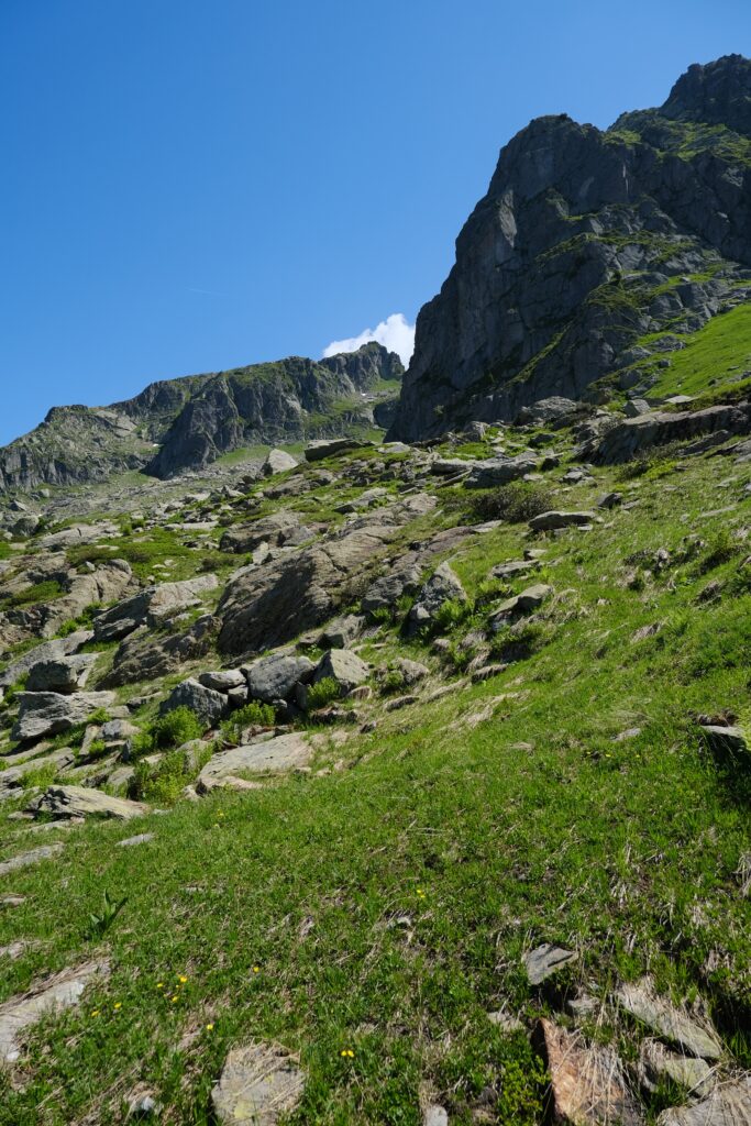 Serene green hillside with rugged rocks under clear blue sky and towering mountain cliffs wallpaper