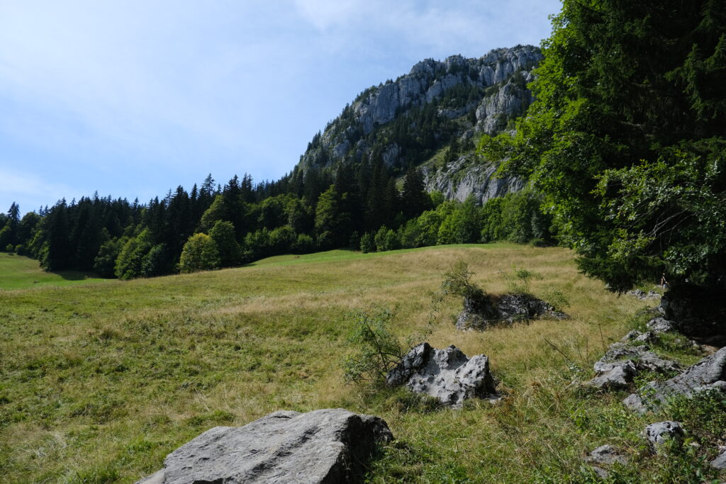 Peaceful mountain landscape with rugged rocks lush green valley forest and blue sky wallpaper