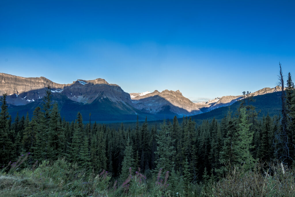 Serene mountain landscape with rugged rocks dense spruce trees and clear blue sky high resolution Wallpaper