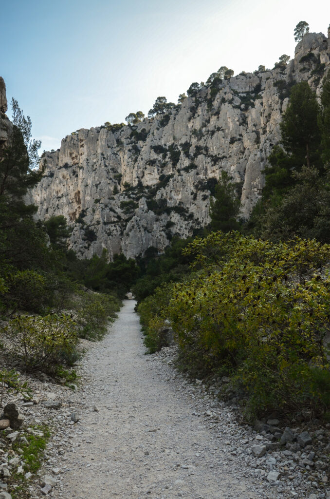 Scenic mountain landscape with rugged stone path lush green trees white cliffs clear sky background Wallpaper