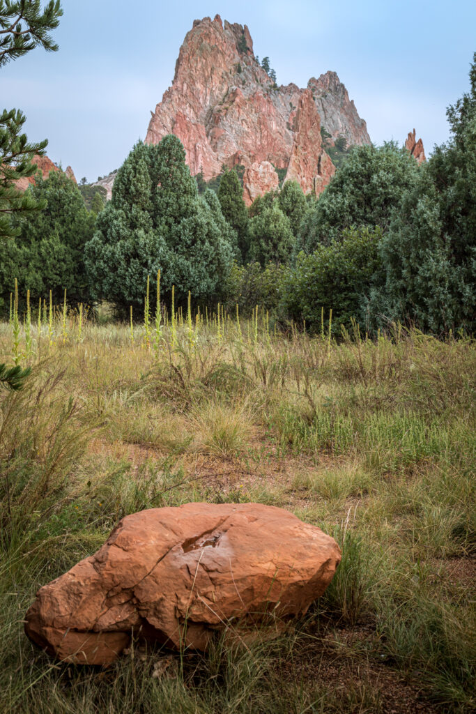 Rugged stone foreground with lush green trees and dramatic mountain peak landscape wallpaper background