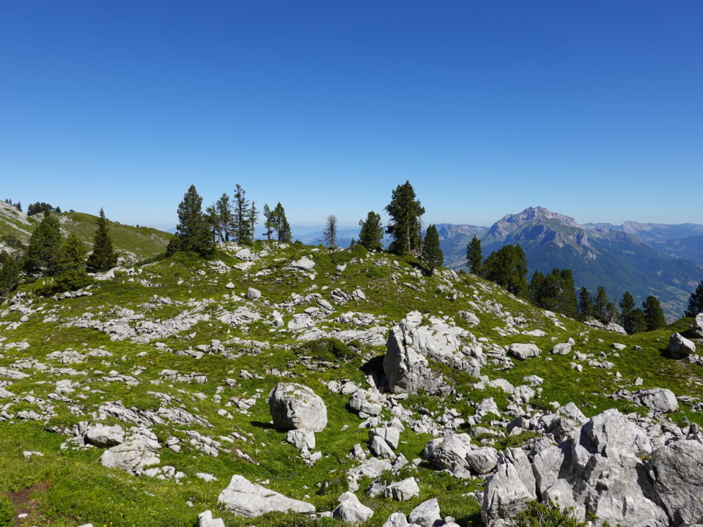 Mountain landscape with rugged stones green slopes tall trees and clear blue sky wallpaper background