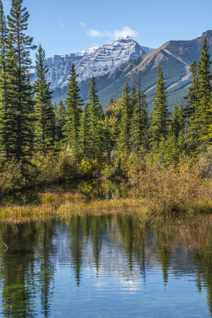 Serene mountain landscape with spruce trees reflected in calm lake under snow-capped peaks blue sky Wallpaper