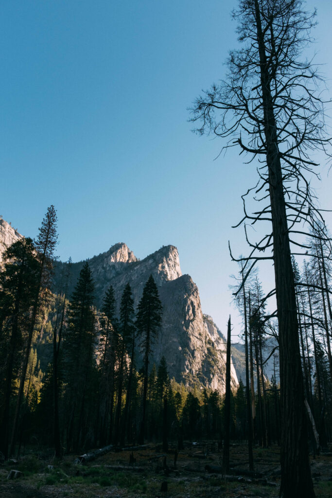 Serene mountain landscape with towering rocks tall pine trees and clear blue sky wallpaper background