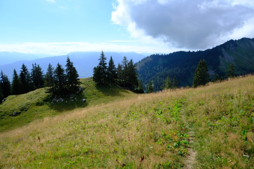 Serene mountain landscape with winding path golden grass green trees rolling hills blue sky Wallpaper