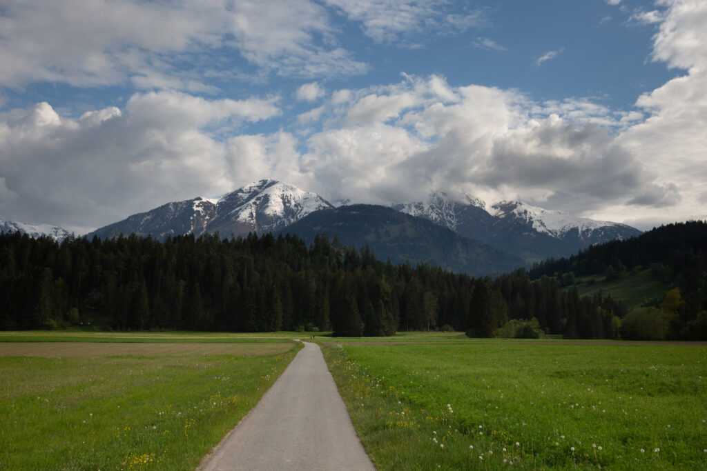Tranquil landscape with winding path through green field and snow-capped mountains under sky Wallpaper