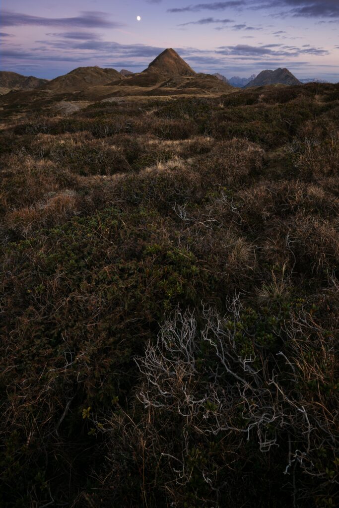 Rugged rocks and rolling mountains under a soft purple evening sky with grassy foreground Wallpaper