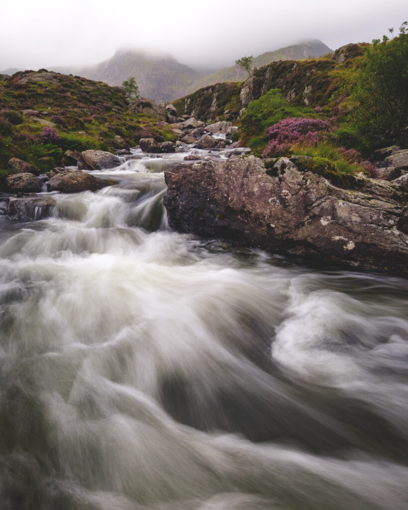 Serene mountain landscape with rushing river smooth stones lush greenery purple wildflowers misty peaks Wallpaper