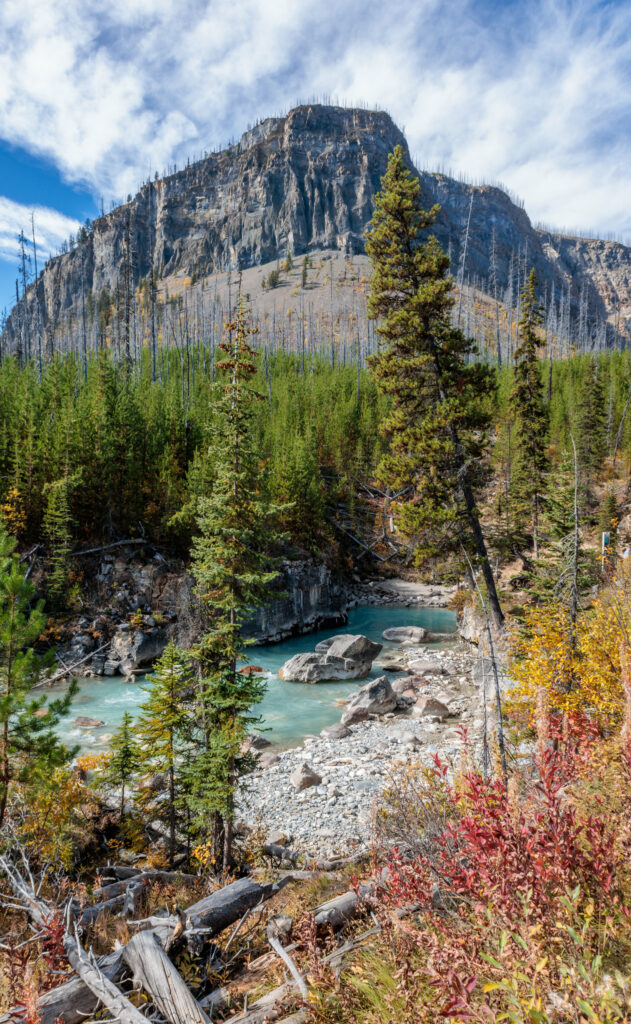 Vibrant mountain landscape with turquoise river winding through lush green trees and blue sky Wallpaper