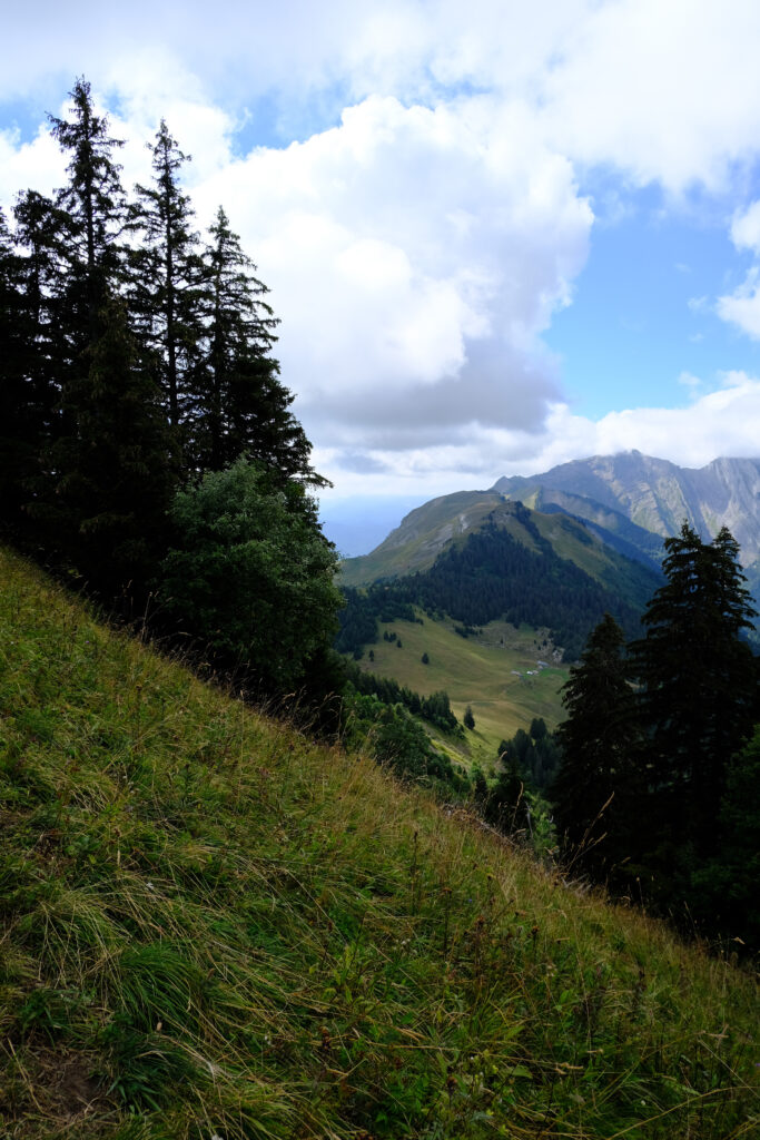 Serene mountain range with lush greenery tall trees grassy slopes and dramatic cloudy sky wallpaper