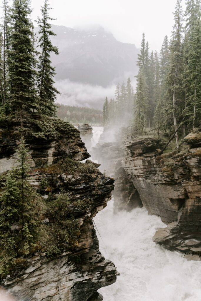 Dramatic cliffs and rugged rocks framing a rushing river with pine trees and ethereal fog wallpaper