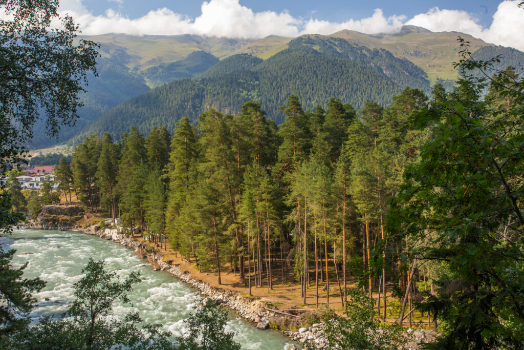 Serene mountain river flowing through green pine forest with rugged peaks under cloudy sky Wallpaper