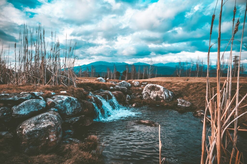 Tranquil mountain stream flowing over stones with lush greenery and tall grasses under clouds Wallpaper