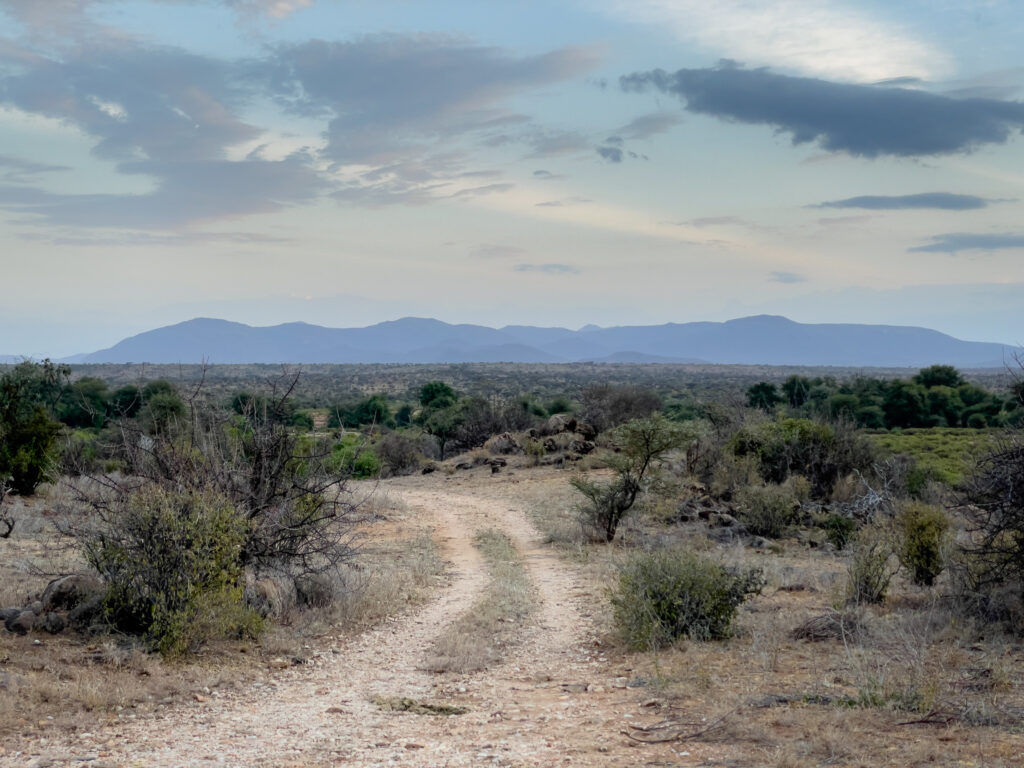 Rugged dirt trail through dry landscape with bushes leading to distant mountains under clouds Wallpaper