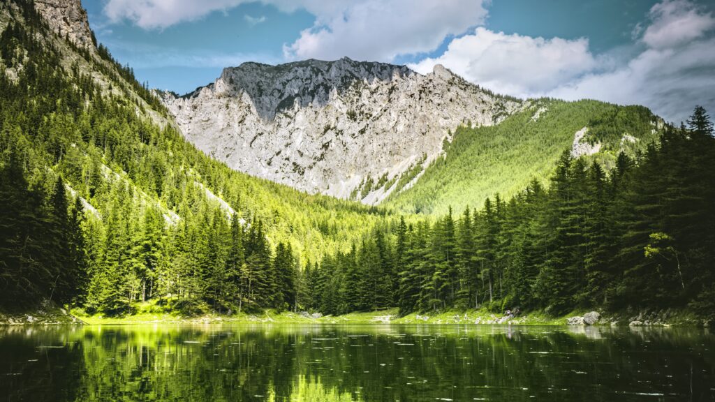 Serene mountain reflected in lake surrounded by dense green forest under vivid blue sky wallpaper