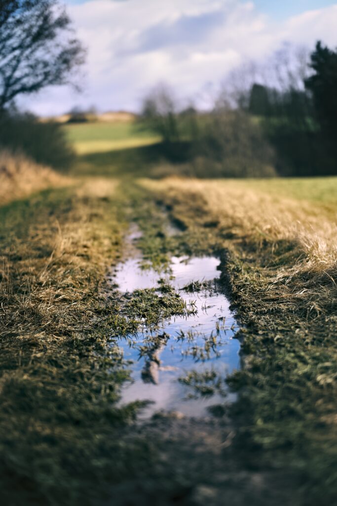 Serene muddy path winding through meadow with clear puddle reflecting sky and vibrant greenery Wallpaper