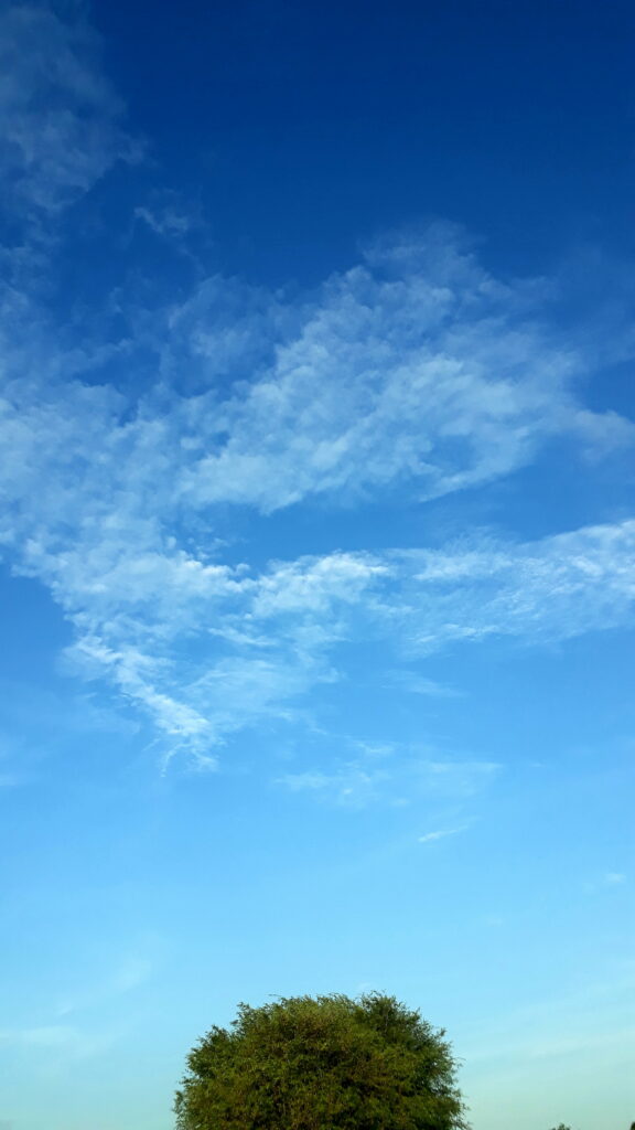 Serene Nature HD Wallpaper: Blue Sky & Lush Green Tree Background