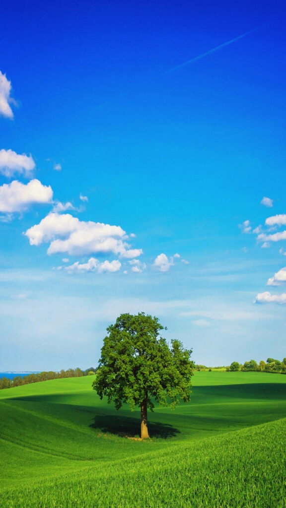  Serene Nature Oasis: A Fresh and Idyllic Home Screen Background Captivating with a Majestic Solitary Tree in a Verdant Field Underneath a Tranquil Azure Sky Wallpaper