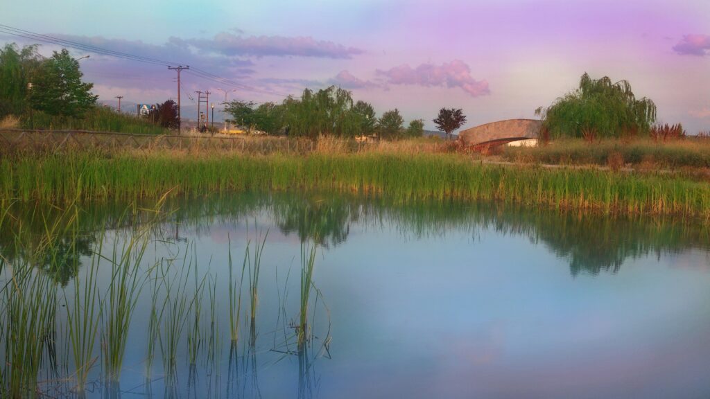Serene nature wallpaper with calm pond tall grasses rustic wooden bridge and winding road