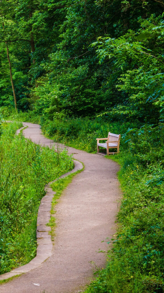 Serene Green Trail Wallpaper for Samsung Galaxy S7 Edge