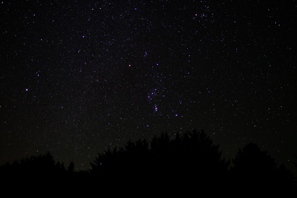 Serene Night Wallpaper: Starry Sky & Tree Silhouettes 6000x4000