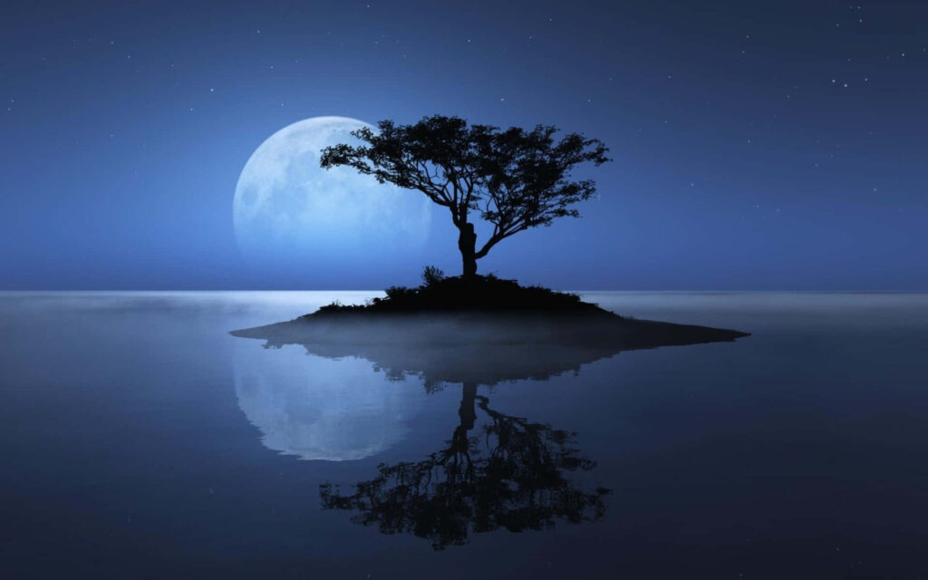 Serene Wallpaper: Lone Tree on Island Under Illuminated Moon