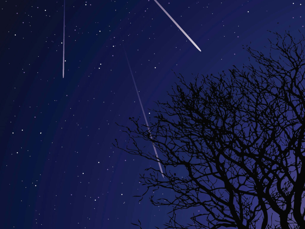 Tranquil Starry Night Sky Wallpaper with Silhouetted Tree & Meteors