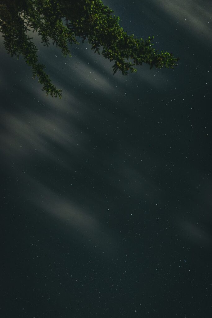 Silhouetted tree branches against a starry night sky with soft clouds calming wallpaper background