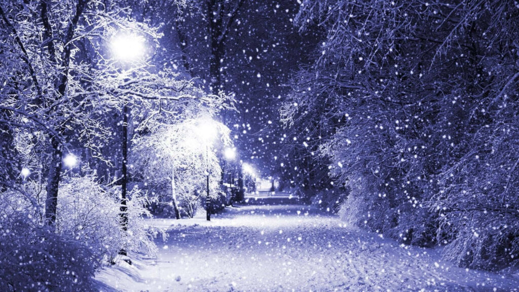 Serene Winter Night Wallpaper: Snow-Covered Trees & Glowing Pathway