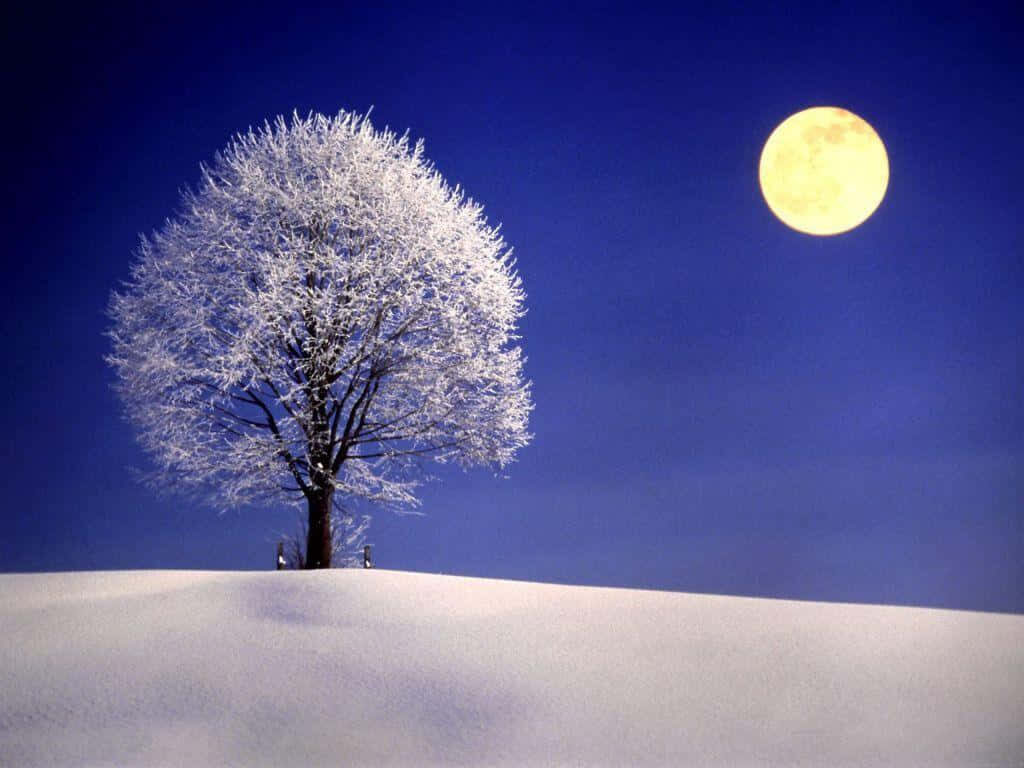 Serene Night Wallpaper: Luminous Full Moon Over Snowy Landscape