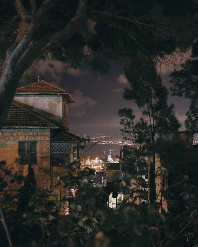 Serene night scene with silhouetted trees rustic houses and illuminated city by the sea wallpaper