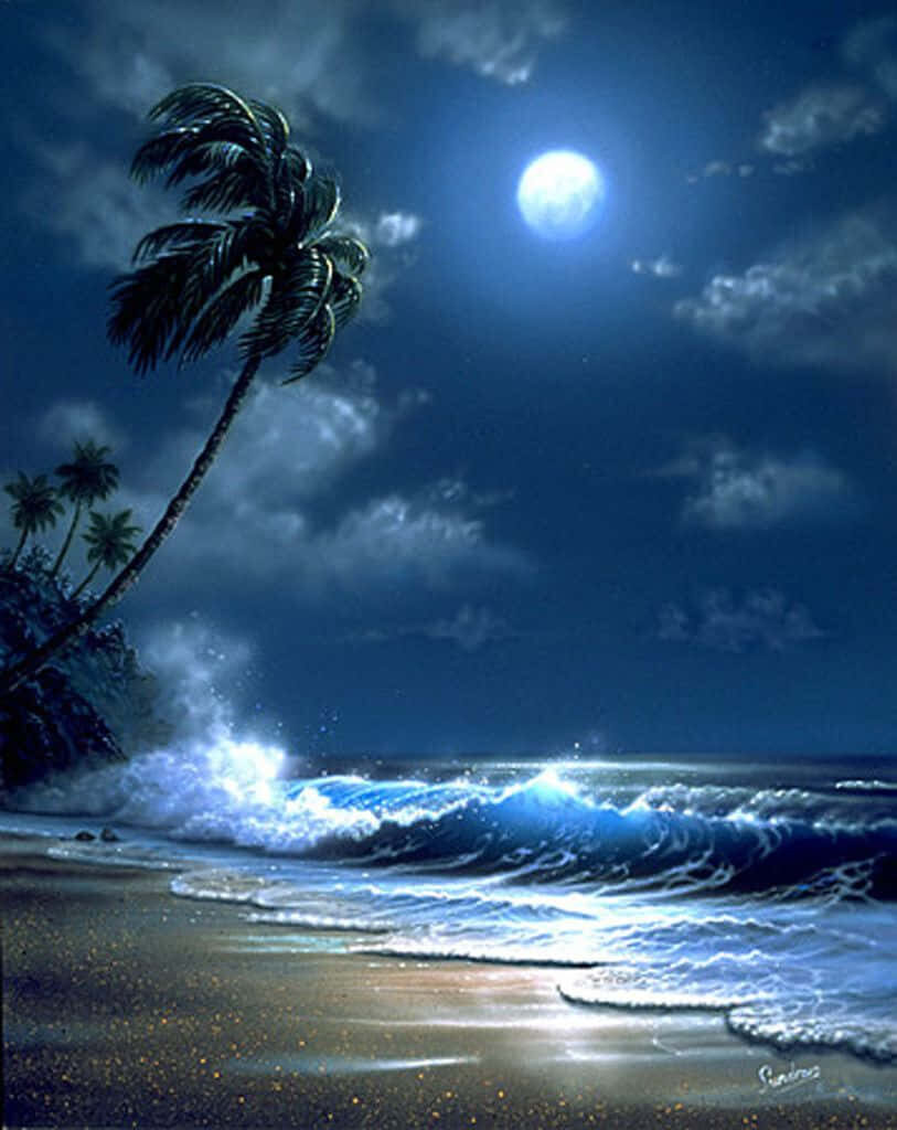 Serene Nighttime Beach Wallpaper with Moonlit Waves & Palm Tree