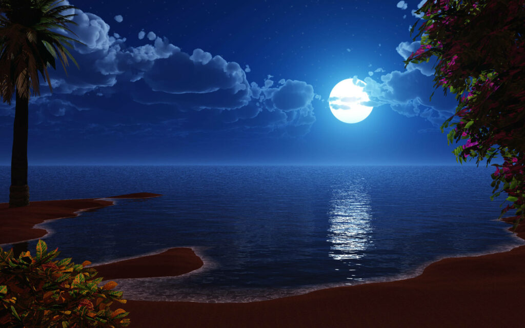 Serene Nighttime Landscape: Full Moon & Tranquil Ocean Wallpaper