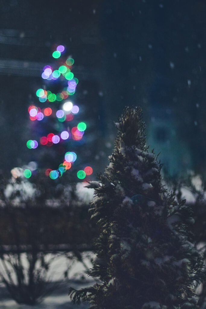 Serene Winter Night Wallpaper: Snowy Tree & Festive Lights