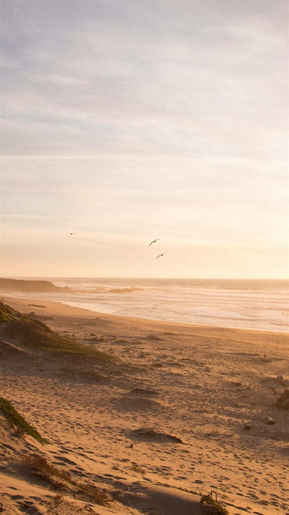 Serene Ocean Beach Sunset Wallpaper - Tranquil Calm Background
