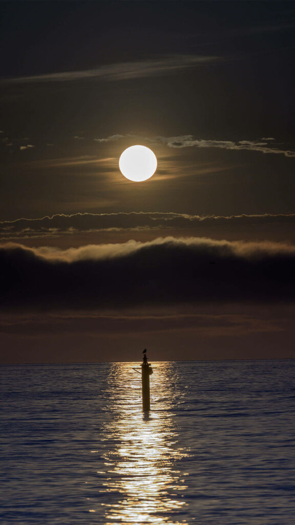 Serene Ocean Wallpaper: Moonlit Reflection on Dark Sky Background