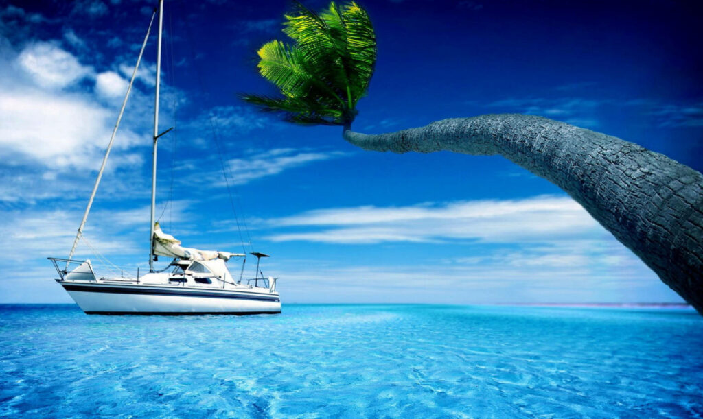 Tranquil Ocean Scene Wallpaper: Sailboat, Palm Tree & Blue Waters