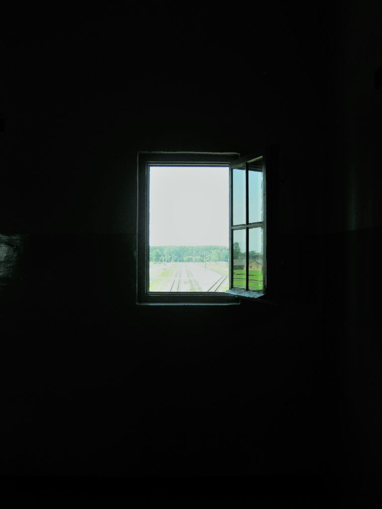 Serene Window Wallpaper: Peaceful Green Landscape Background