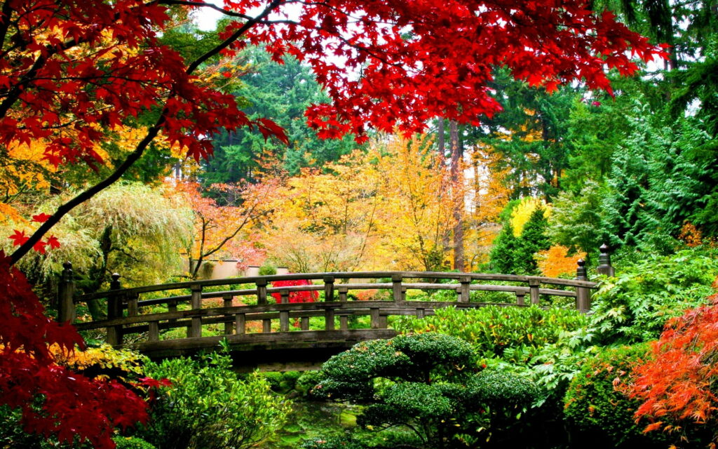 Oriental Garden Bridge: A Tranquil Leafy Haven in Stunning HD Wallpaper