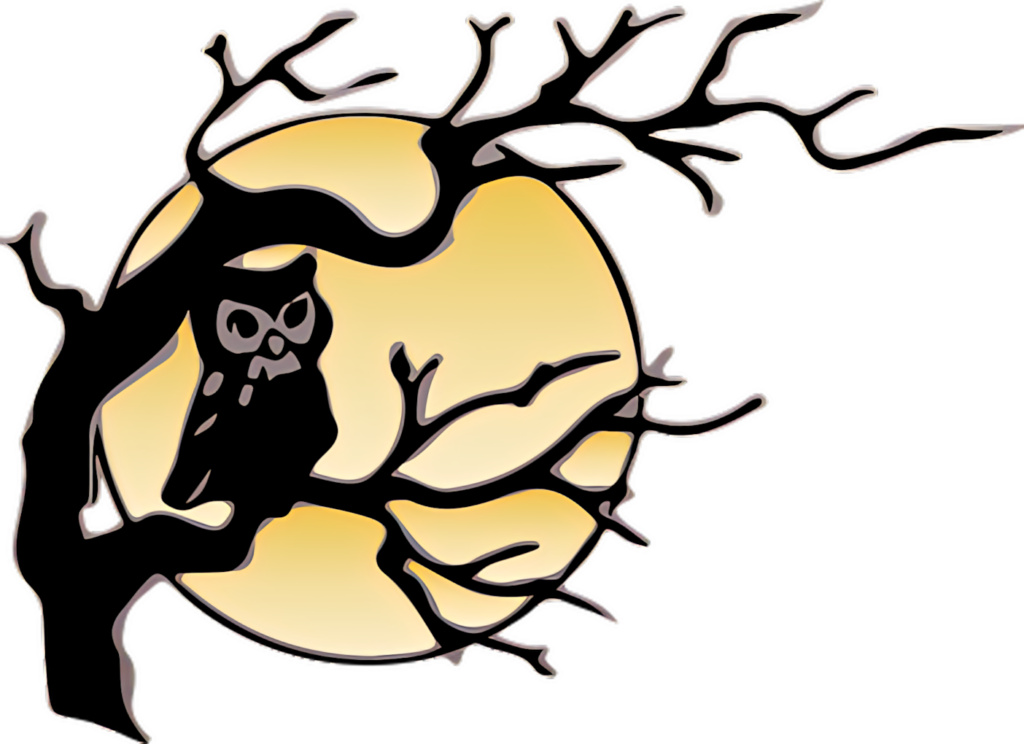 Owl Silhouette Against Full Moon - Serene Night Wallpaper Background